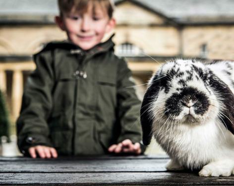 Easter Holidays at Harewood