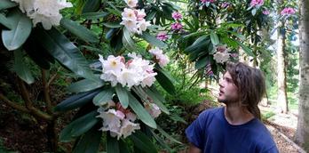 Rhododendron Experience