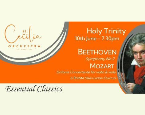 Summer Concert - Essential Classics