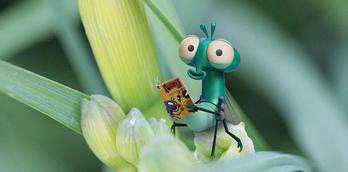 Summer holiday fun at RHS Harlow Carr: Aardman presents: Lloyd of the Flies The Grand Bug & Pest Hotel Hunt