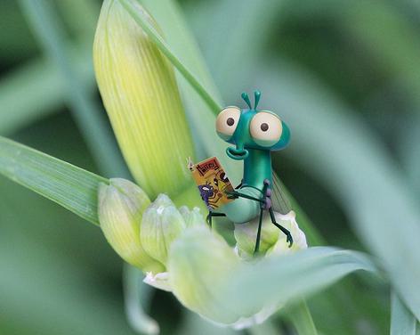 Summer holiday fun at RHS Harlow Carr: Aardman presents: Lloyd of the Flies The Grand Bug & Pest Hotel Hunt