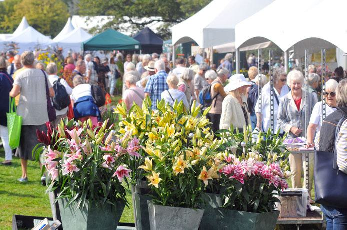 Autumn flower show Ripon