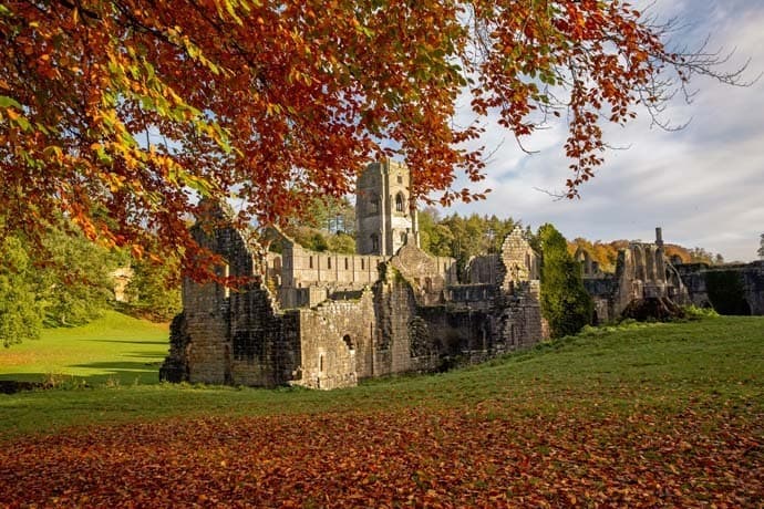 Crunchy autumn leaves surround the abbey ruins