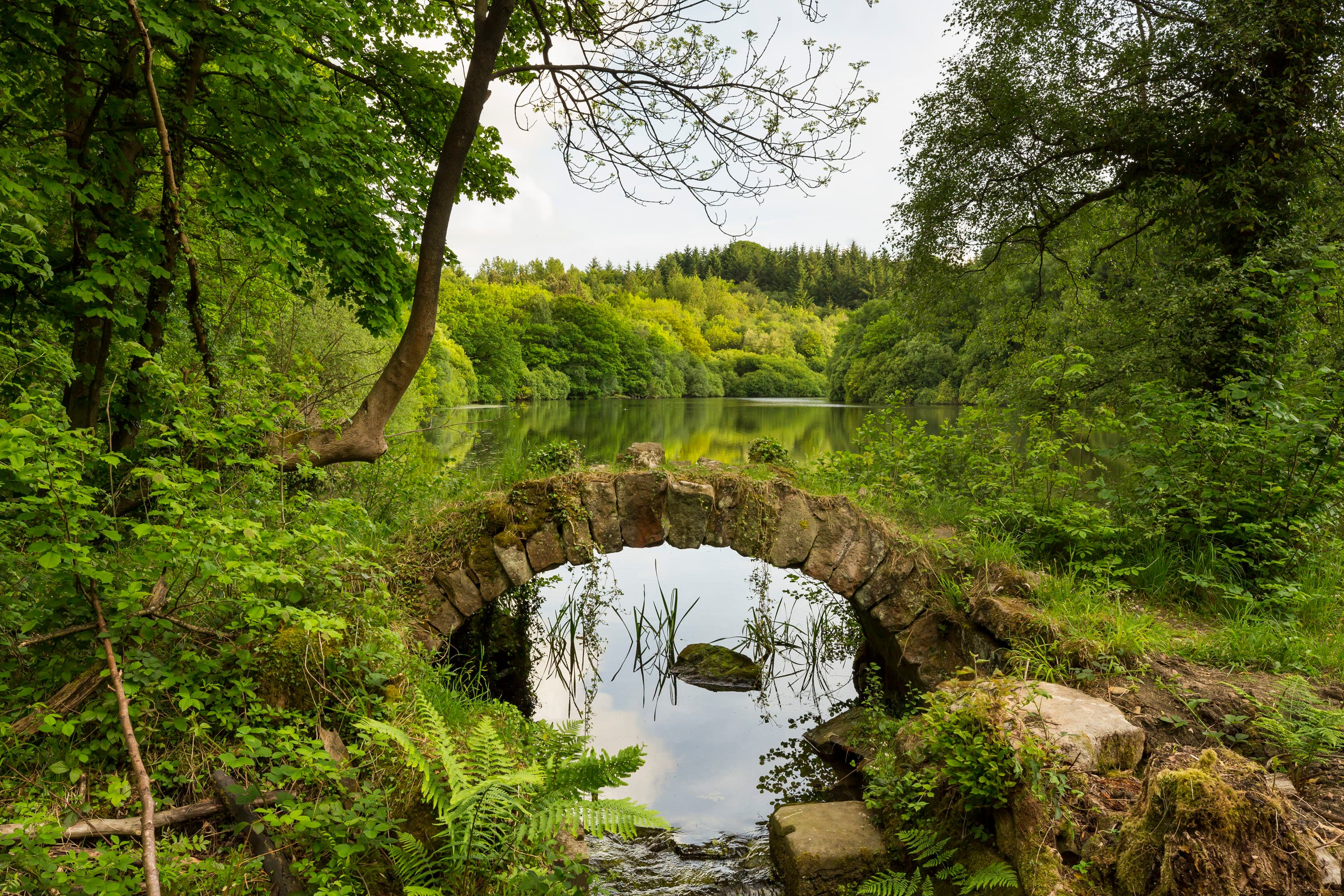 Eavestone Lake from the stone bridge CREDIT National Trust Images Chris Lacey