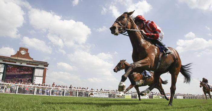 HARR Gallery Ripon Ripon Races lead rider