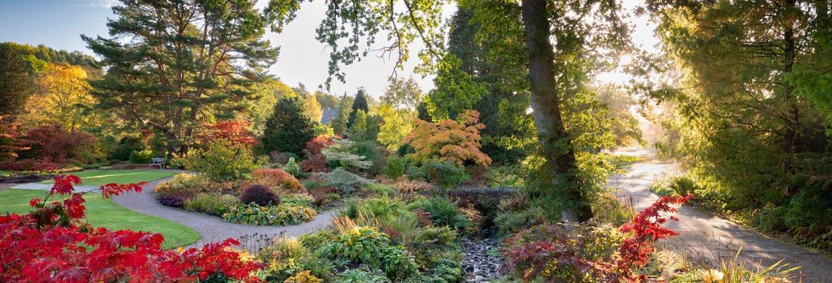 RHS Gardden with low Sun Full Width Content