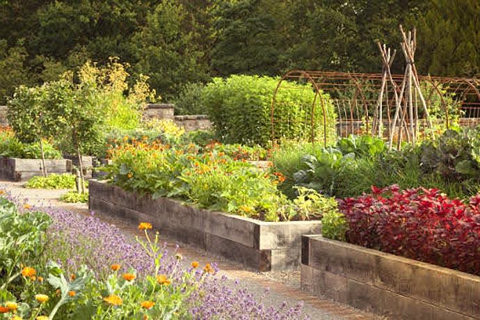 Rudding Kitchen Garden