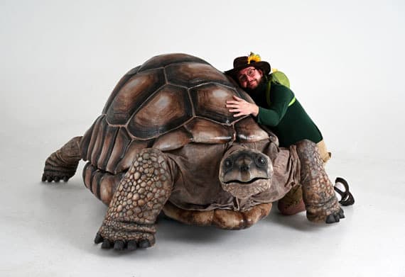 Tortoise web size