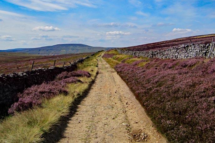 Nidderdale walks content